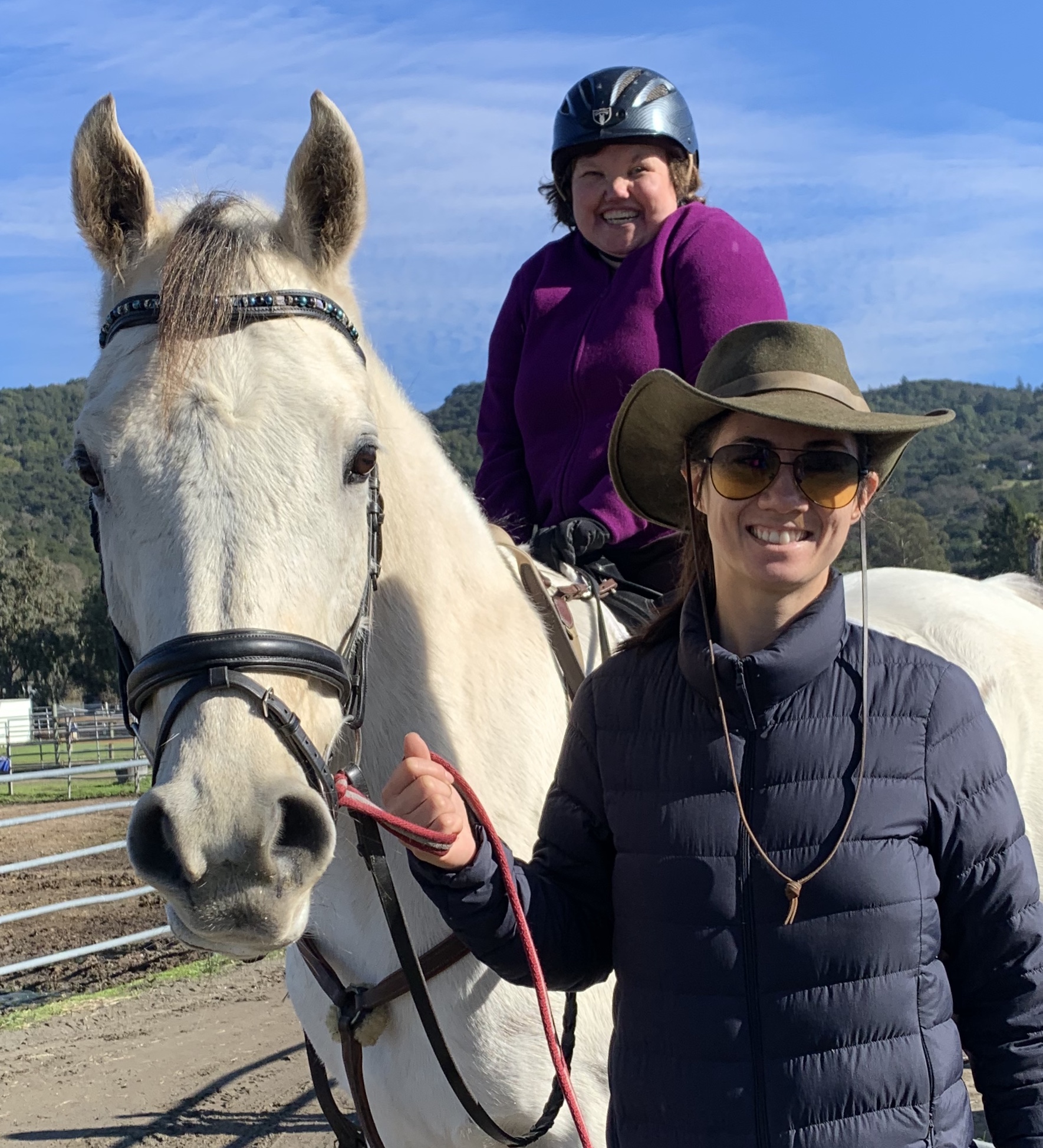 Gallery – Pegasus Riding School